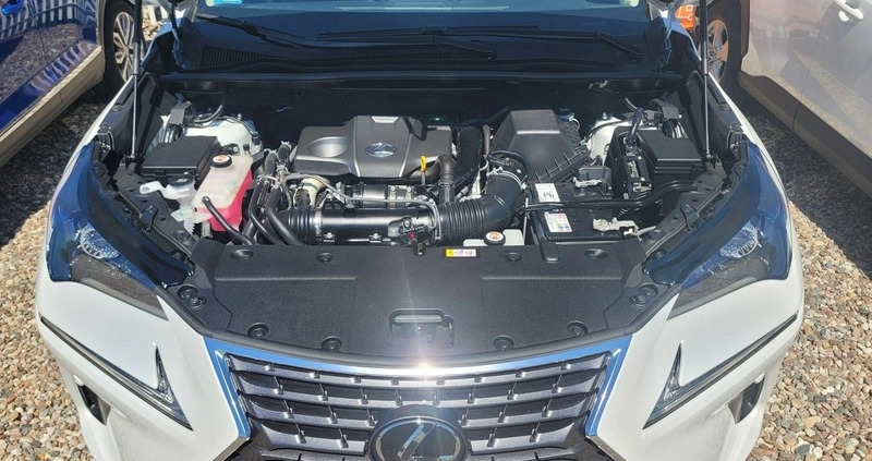 Lexus NX cena 138900 przebieg: 49474, rok produkcji 2019 z Kraśnik małe 781